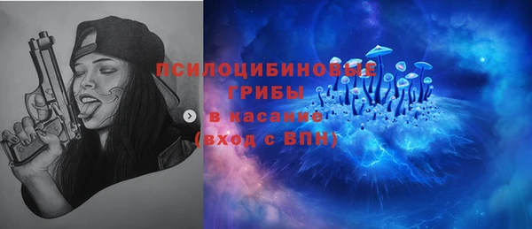 стаф Медвежьегорск
