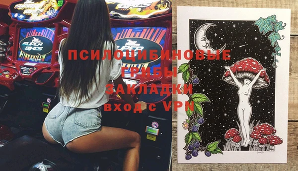 стаф Медвежьегорск
