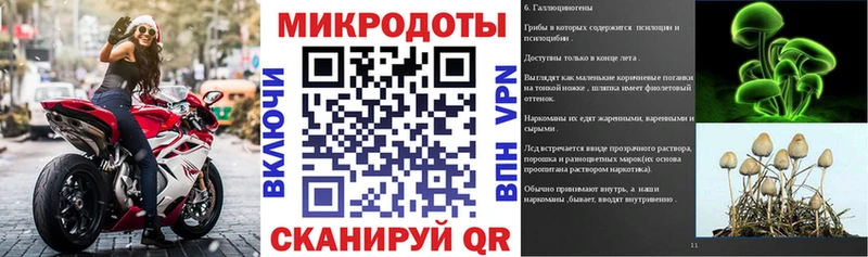 продажа наркотиков Чапаевск Псилоцибиновые грибы Cubensis