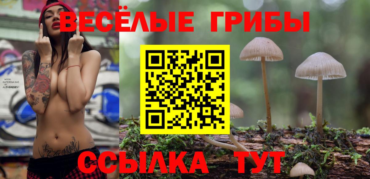 Галлюциногенные грибы прущие грибы  Вход с VPN  Чапаевск 